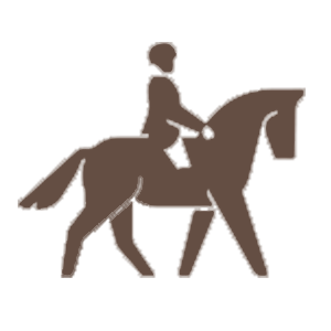 Horseback Riding and Safaris