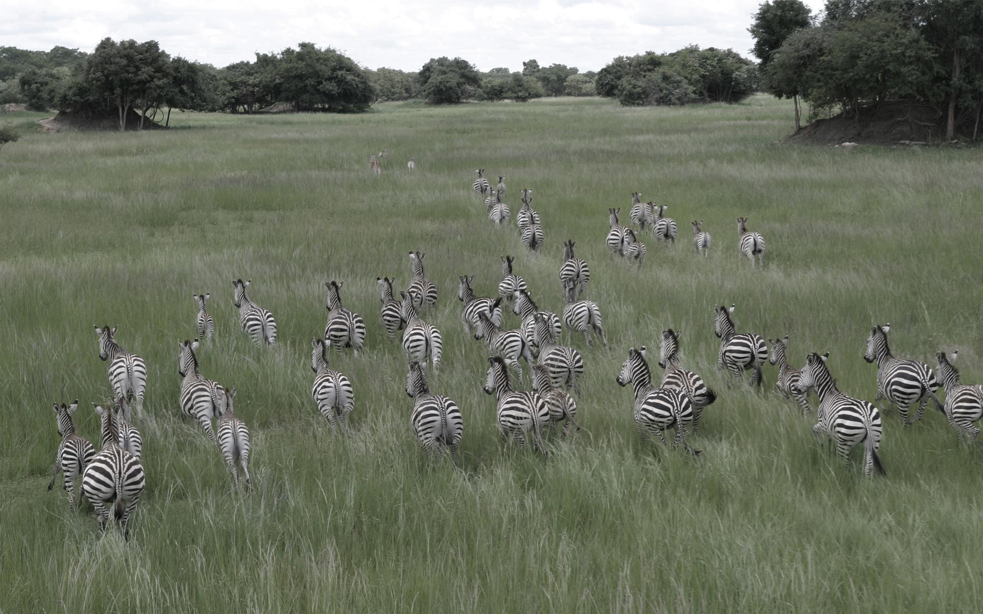 Chaminuka Lodge - Image 2